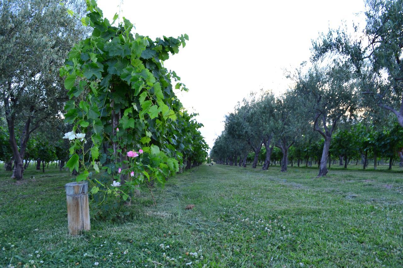 Finca Fisterra Maipú Eksteriør billede