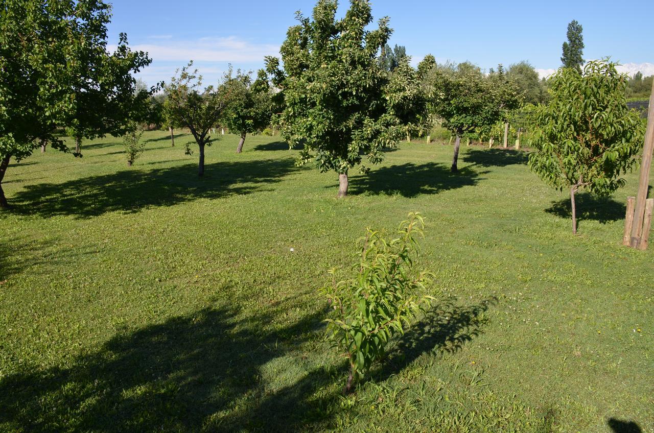 Finca Fisterra Maipú Eksteriør billede