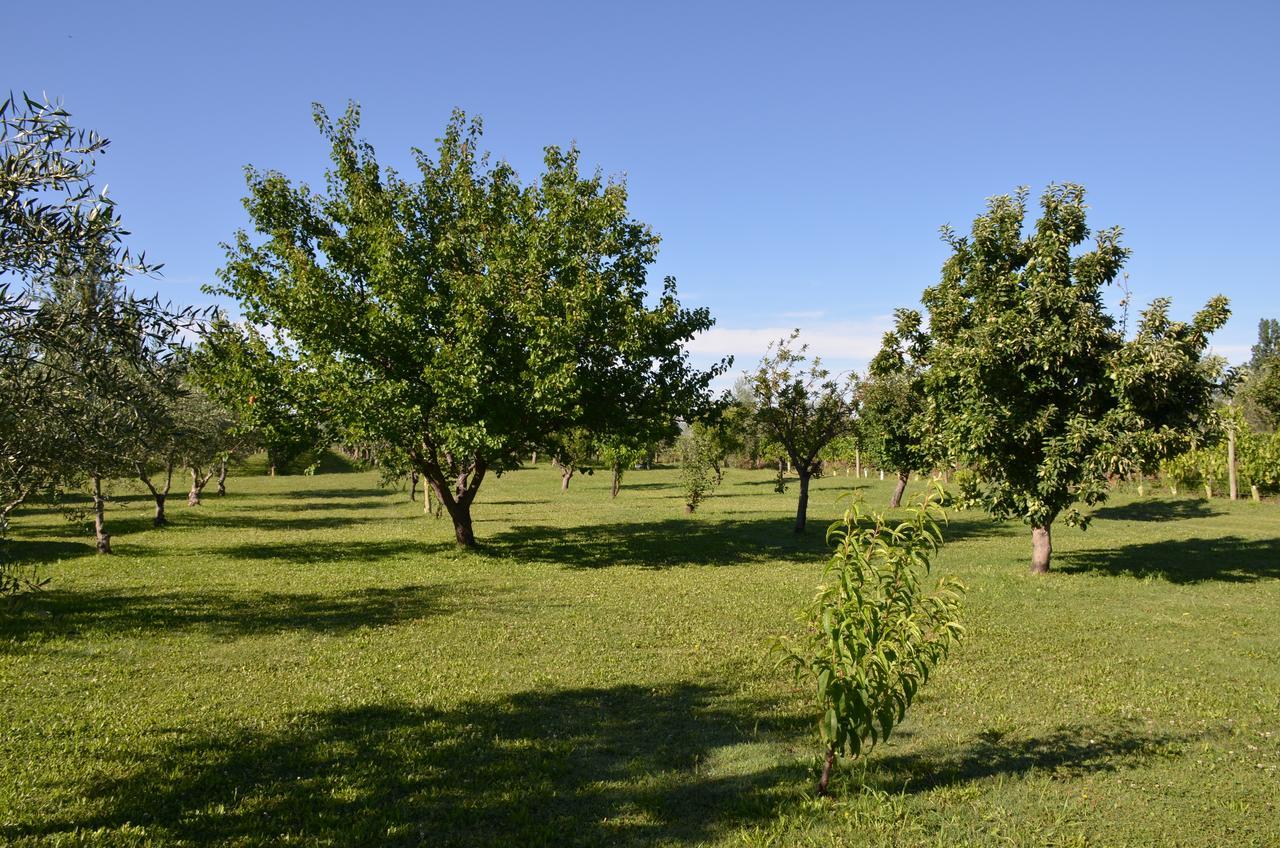 Finca Fisterra Maipú Eksteriør billede
