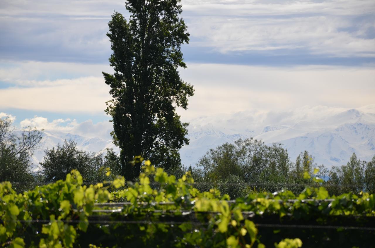 Finca Fisterra Maipú Eksteriør billede