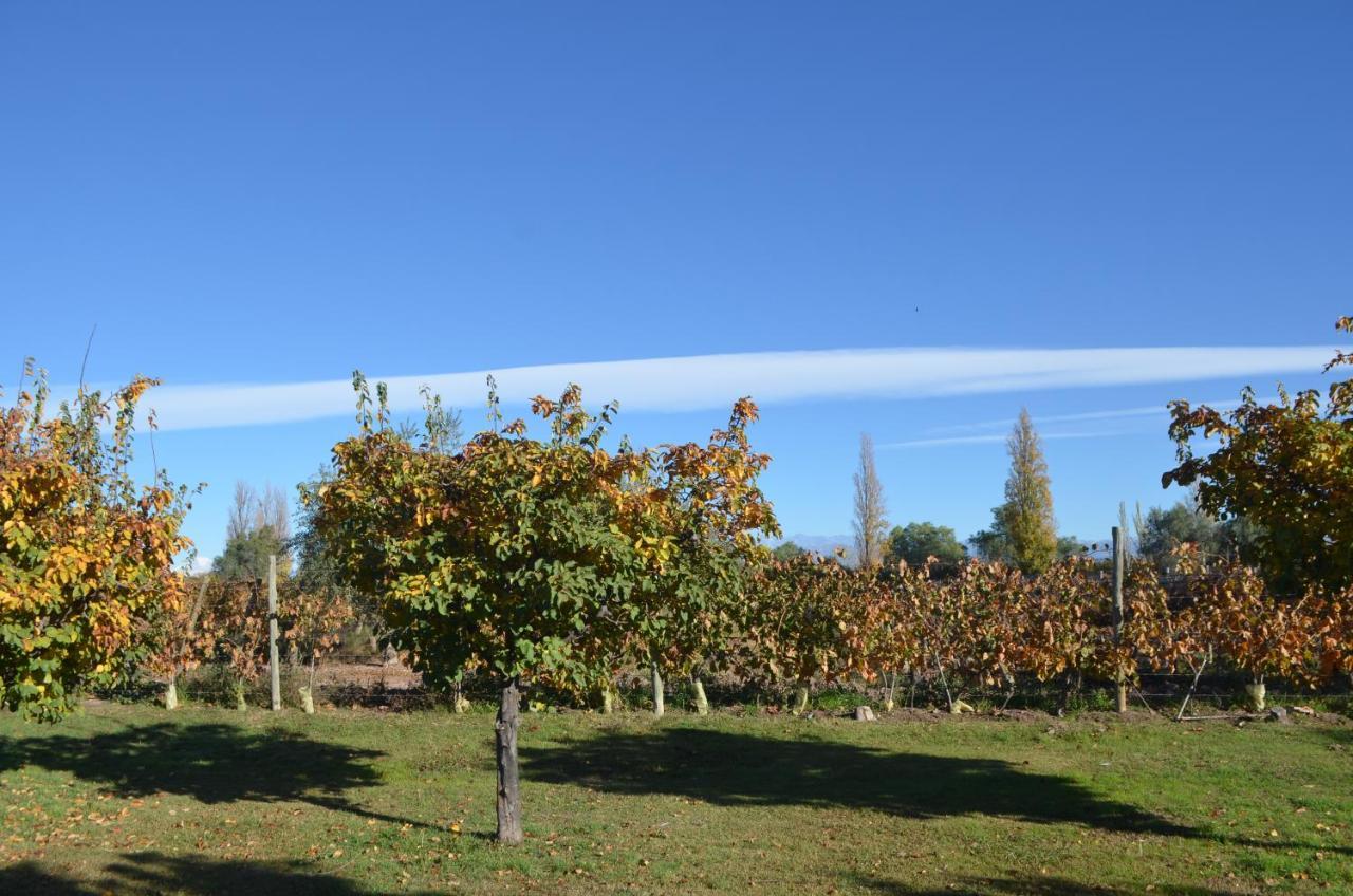 Finca Fisterra Maipú Eksteriør billede
