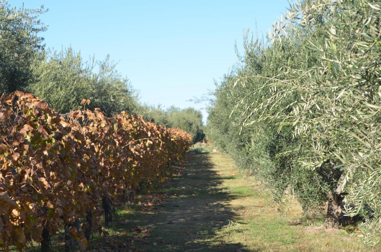 Finca Fisterra Maipú Eksteriør billede