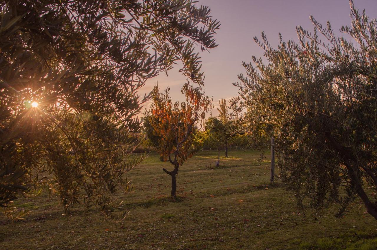 Finca Fisterra Maipú Eksteriør billede