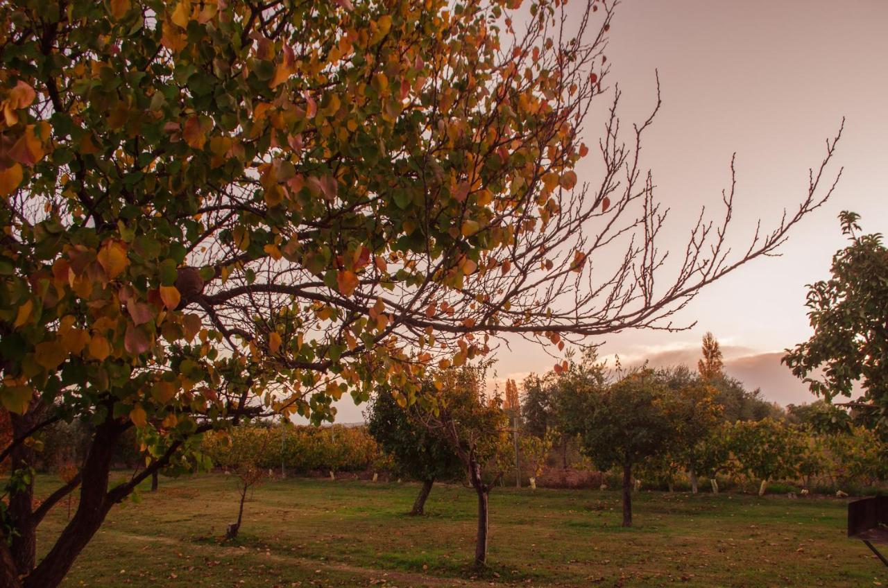 Finca Fisterra Maipú Eksteriør billede